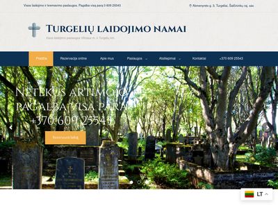 Domain Default page  www.tln.lt