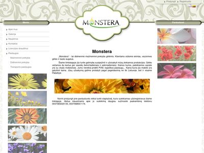 monstera.lt