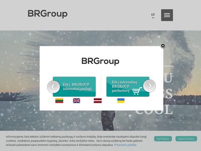 brgroup.lt