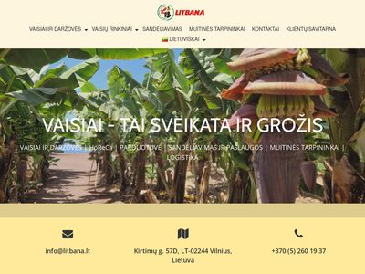 litbana.lt