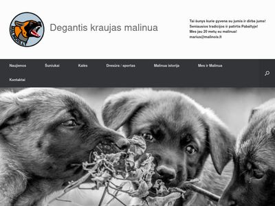 malinois.lt