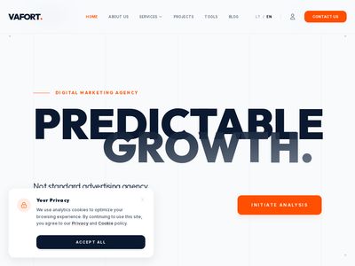 Žaibiškai Greitų Svetainių Kūrimas | 100% Core Web Vitals