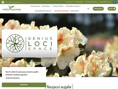 Virziu medelynas | Straipsniai, pranešimai spaudai