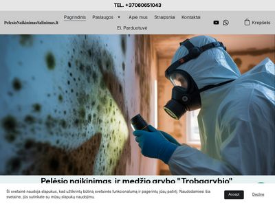 Pelėsio ir medžio grybo Trobagrybio naikinimo paslaugos