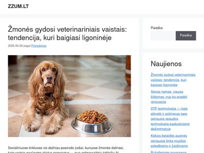 ZZUM.LT – TRUMPAI IR AI&Scaron;KIAI  zzum.lt