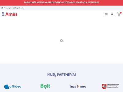 Užsienio kalbų mokymo centras, kalbų kursai – AMES