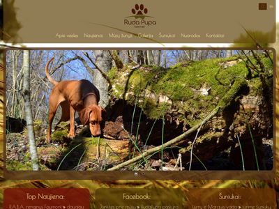LT – Ruda Pupa ~ Trumpaplaukiai vengrų vižlai   www.rudapupa.lt