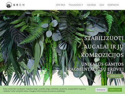 Made by Grow: Unikalūs stabilizuoti augalai, paveikslai ir samanos