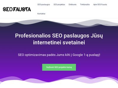 Jūsų interneto svetainė Google 1-ame puslapyje – SEO Fausta