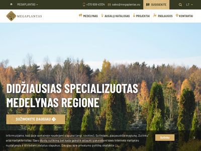 Didelių medžių sodinimas, auginimas | Megaplantas