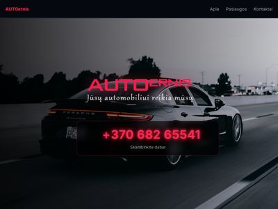 autoernis – Automobilių remontas  www.autoernis.lt