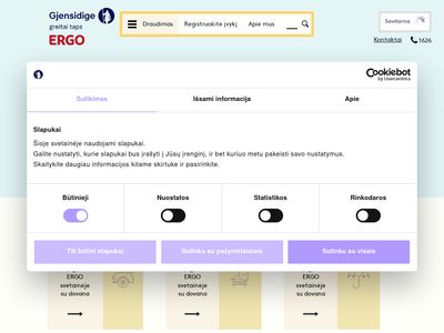 DRAUDIMAS internetu PUIKIOMIS KAINOMIS | GJENSIDIGE