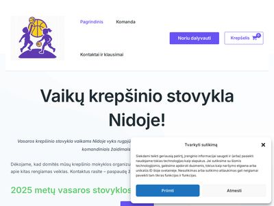 Vasaros krepšinio stovyklos — Krepšinio stovykla
