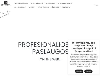 SEO paslaugos | Reklama google bei internete – SEO Spiders
