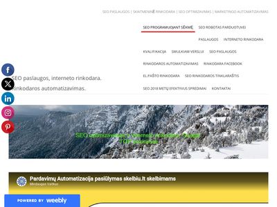 SEO paslaugos, interneto rinkodara. – Apie mus  seorinkodara.