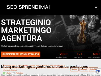 Strateginio marketingo agentūra – SEO konsultacija