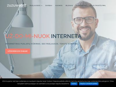Interneto svetainių kūrimas, SEO optimizavimas | zuzuweb.lt