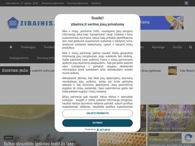 SEO straipsnių katalogas  zibainis.lt