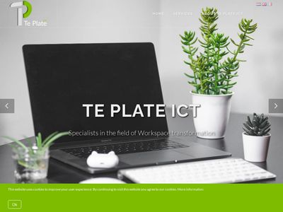 InDis :: eSolutions made Simple  www.indis.lt