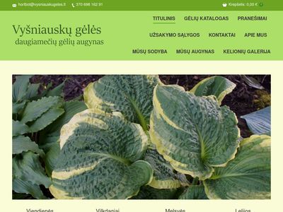 Gėlės  www.vysniauskugeles.lt