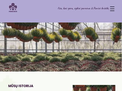 Algimanto Žemaičio gėlininkystės ūkis |  www.puniosgeles.lt