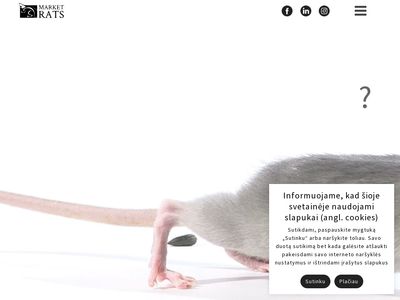 Profesionalios SEO paslaugos | Reklama Google bei internete – Market