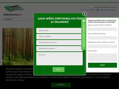 Perkame mišką | Miško pirkimas – Miškodraugas.lt