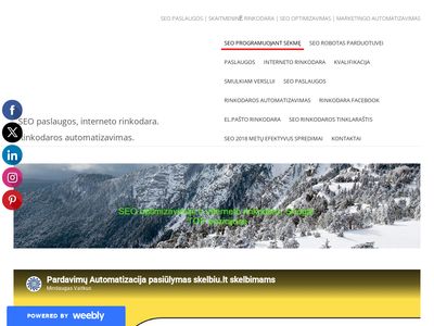 SEO paslaugos, interneto rinkodara. – Apie mus  seorinkodara.