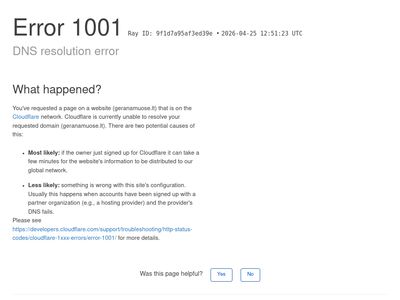 DW Home: kvepiančios žvakės namams, natūralūs namų kvapai