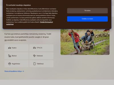 Draudimas internetu | If.lt
www.if.lt