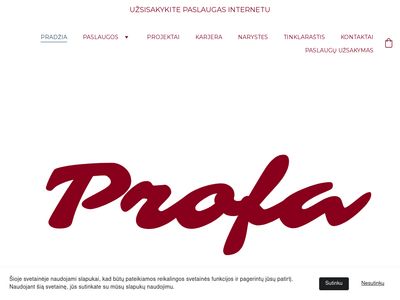 Konstrukcijų projektavimas | Vertinimai | Konsultacijos  | Profa
